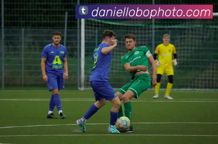 奖项证书